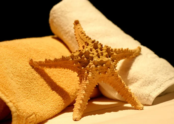 Ibersol 酒店 托雷莫利诺斯